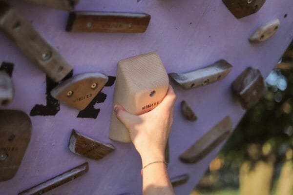 Pinze Rails - prese arrampicata legno - WHISE