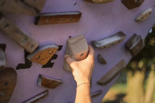 Pinze Rails - prese arrampicata legno - WHISE