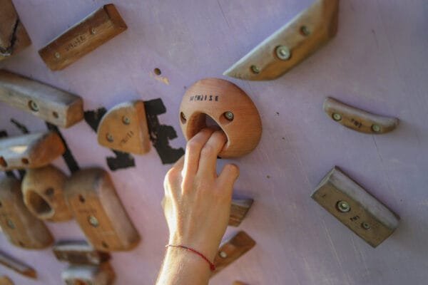 Pockets Rabbit Hole - prese arrampicata legno - WHISE