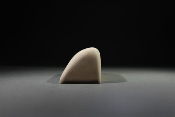 Svase (Dinosaur’s Egg) - immagine 7
