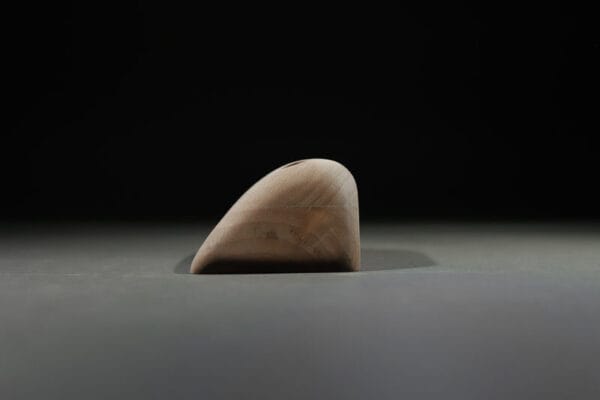 Svase (Dinosaur’s Egg) - immagine 4