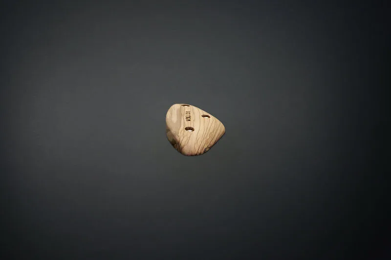 Tacche Puma's Head - prese arrampicata legno - WHISE