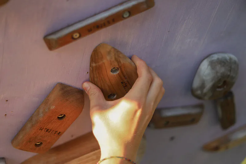 Tacche Puma's Head - prese arrampicata legno - WHISE