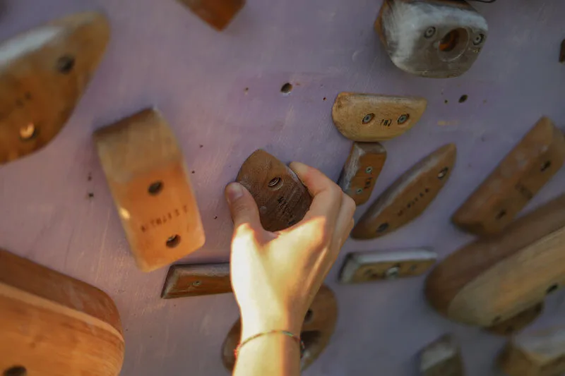 Tacche Puma's Head - prese arrampicata legno - WHISE