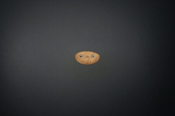 Tacche (Puma's Head) - immagine 2