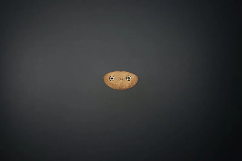 Tacche Puma's Head - prese arrampicata legno - WHISE