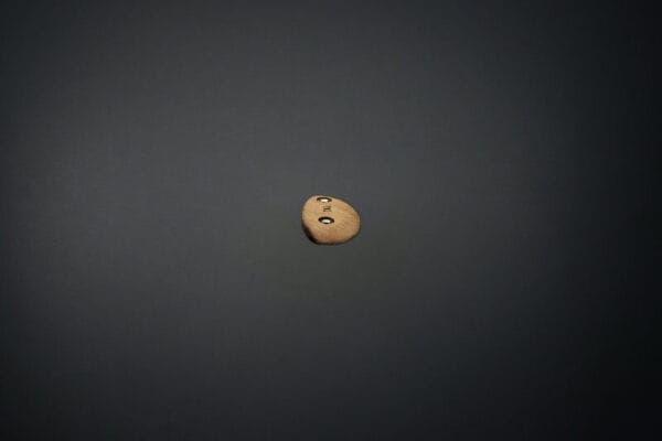 Tacche (Puma's Head) - immagine 3
