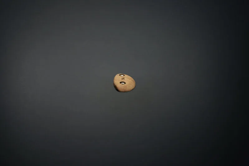 Tacche Puma's Head - prese arrampicata legno - WHISE