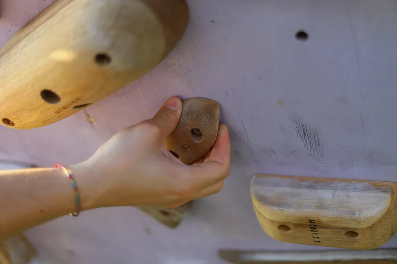 Tacche Puma's Head - prese arrampicata legno - WHISE